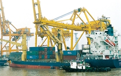 Vận tải biển vẫn “người cười, kẻ khóc”