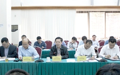 Giám đốc Ban QLDA Hàng hải bị tước quyền điều hành 3 tháng