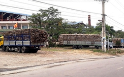 Người trồng mía kéo tới Công ty CP Đường Bình Định đòi nợ