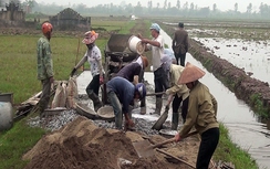 Hợp nhất 5 đoàn thể vào Mặt trận Tổ quốc, nên không?