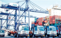 CICT - 10 năm khẳng định vị thế cảng quốc tế