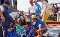 Đà Nẵng tăng cường truy xuất nguồn gốc thủy sản