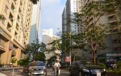 Hà Nội phủ sóng buýt mini đến khu dân cư