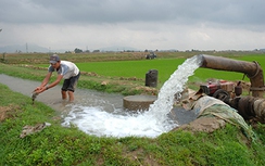 Hà Nội: 589 tỷ đồng đặt hàng tưới, tiêu nước nông nghiệp