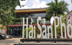 Sai phạm mương Phan Kế Bính, Hà Nội: Chính quyền“án binh bất động”lạ thường!