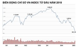 Chứng khoán phục hồi hay "bẫy" tăng giá?