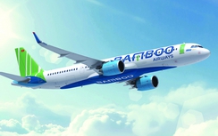 Hàng không Tre Việt của FLC sẽ bay từ 2019