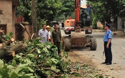 Vĩnh Phúc: Mạnh tay phạt vi phạm hành lang giao thông