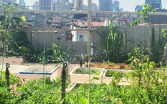 Đâu rồi niềm tin nông sản Việt?