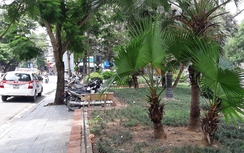 Sẽ xây hồ ngầm chống ngập giữa phố cổ Hà Nội?