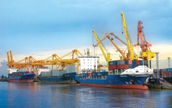 “Mở toang cửa” cho doanh nghiệp nhờ Cơ chế một cửa quốc gia