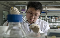 Bắc Kinh nới lỏng quốc tịch dự giải “Nobel Trung Quốc”