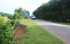 Sạt lở xâm thực mạnh, nguy cơ “cắt đường” tỉnh lộ Bình Định