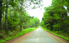 Tránh nắng ở thiên đường sinh thái Măng Đen