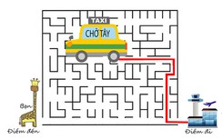 Khảo sát trong mơ?