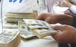 Siết cho vay ngoại tệ, doanh nghiệp có lo đói vốn?