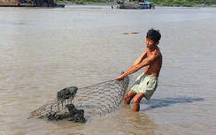 Nên chuyển Cục Đường thủy quản lý kênh Chợ Gạo