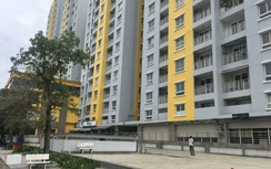 Cháy chung cư Carina ba bên phải bồi thường?