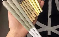 Ngộ nhận khiến giới trẻ lao vào cần sa, cỏ Mỹ