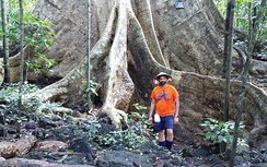 Khám phá rừng đêm ở Cát Tiên