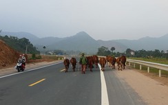 Nguy cơ tai nạn trên tuyến BOT Hòa Lạc - Hòa Bình