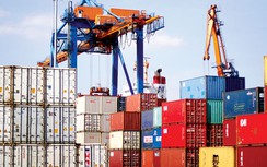 Doanh nghiệp lao đao chỉ vì “lệch” mã cảng biển