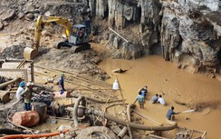 Thấp thỏm chờ điều kỳ diệu