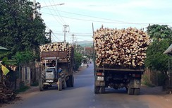 Xử lý xe công nông, xe tự chế gặp khó