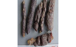 Cánh kiến đỏ giải độc, hoạt huyết