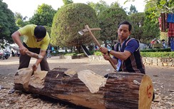 Hơn 1.000 nghệ nhân tham dự Festival cồng chiêng Tây Nguyên 2018