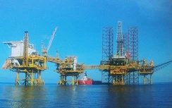 Hoạt động tìm kiếm, thăm dò dầu khí xuống mức báo động