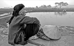 Truyện ngắn: Thêm mùa trái ngọt