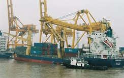 Tăng giá dịch vụ cảng biển là cần thiết