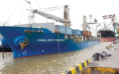 Hành trình giải cứu “tàu đắm” Vinalines: Vươn khơi tìm lại mình