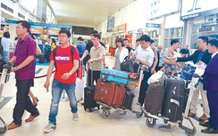 Rắc rối lớn từ việc xách hộ hành lý đi máy bay
