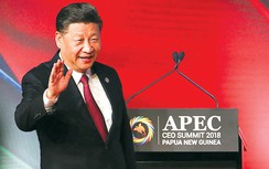 Một năm đối ngoại của ông Tập Cận Bình thu được những gì?