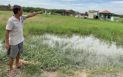 Hủy dự án treo, có nên thu lại tiền tạm ứng của dân?