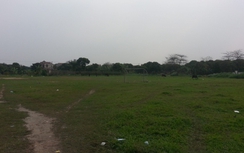 Tham gia thi kéo co ở lễ hội, một phụ nữ tử vong