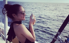 Bảo Anh "chọn cá", Dương Triệu Vũ đưa thú cưng cùng đi diễn