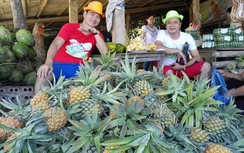 Xuân Bắc đi bán dứa, Angela Phương Trinh về quê chăn bò