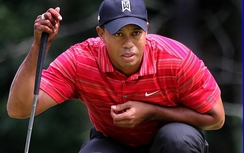 Scandal khiến sao thế giới sạt nghiệp, sao Việt... "lên hương"