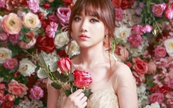 Hari Won than nhớ Trấn Thành, mách chồng mình bị ăn hiếp