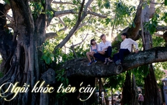 Phim chuyển thể từ truyện của Nguyễn Nhật Ánh tung trailer đẹp như mơ