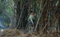 Will tuyên ngôn: "Đã là đàn ông thì không sợ kiến"