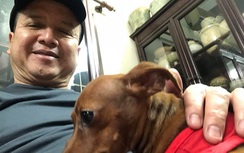 Sao Việt hào hứng chúc mừng năm mới Mậu Tuất 2018