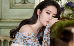 Bị tố chảnh chọe, yêu sách, Lưu Diệc Phi lên tiếng