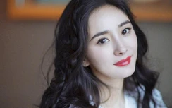 Dương Mịch khởi kiện người vu mình lật lọng tiền từ thiện