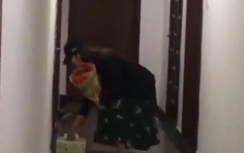 Nửa đêm, Nam Em mang bánh sinh nhật đến nhà Trường Giang?