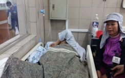 Mỗi năm hơn 1.000 ca tử vong vì ngộ độc thuốc diệt cỏ