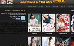 Lập trình viên kinh doanh web sex khai gì?